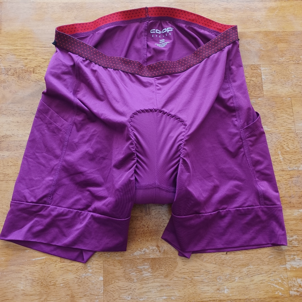 Co-op cycles liner bike shorts. Women's Size lg. EUC. With padding.